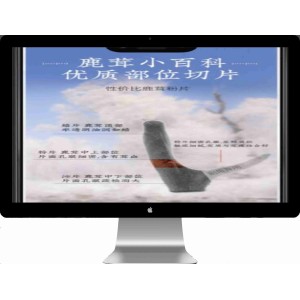 (独立手机版) 营销推广落地页pbootcms网站模板