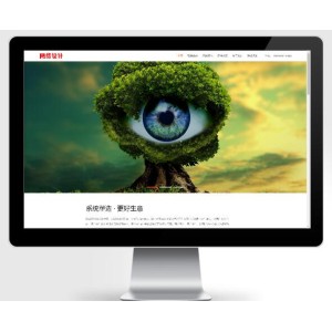 品牌策划设计公司，网络设计公司网站源码下载