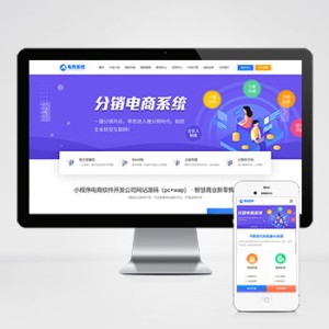 小程序电商软件开发公司网站源码