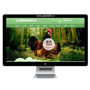 家禽母鸡养殖类网站模板,畜牧类企业网站源码下载