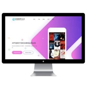 网络软件网站模板